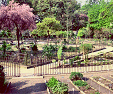 Padova, Orto botanico. Anlagt 1545 som rekonstruktion af Paradishaven. Foto: Annelise Olesen.
